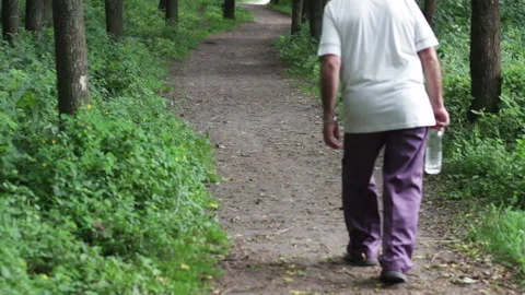 A Man Walks Through The Woods Stock Footage 92023772