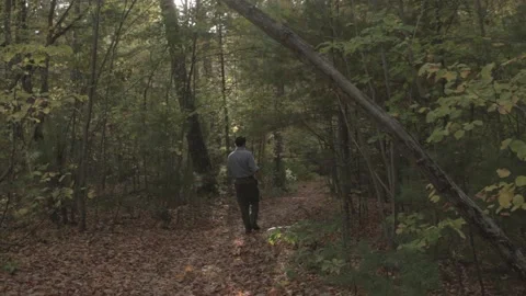 Man Walks Through Woods Stock Footage 140807407