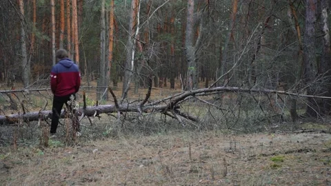 A man walks through the woods Stock Footage 143491903