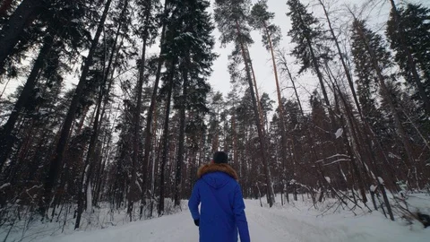 A man walks through the woods. Steady cam shot 库存影片 102775650