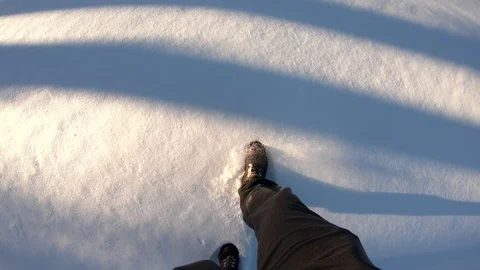 Man walks through the woods in winter. POV. Walk through the woods in winter Stock Footage 104006916