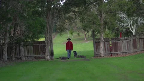 A man walks towards camera and trains a puppy to walk by heel. Stock Footage 141893582