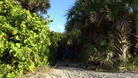 Man walks towards camera on Florida hiking trail Stock Footage 171949104