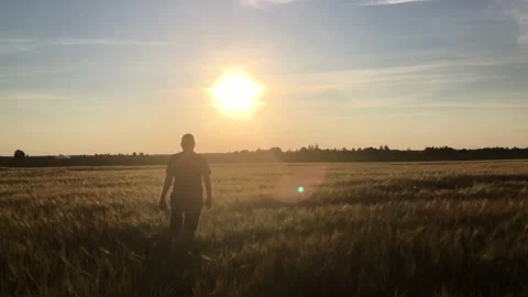 A man walks towards the setting sun through a golden wheat field Stock Footage 157097786