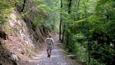 Man walks trail through lush green forest in Switzerland Video stock 343881476