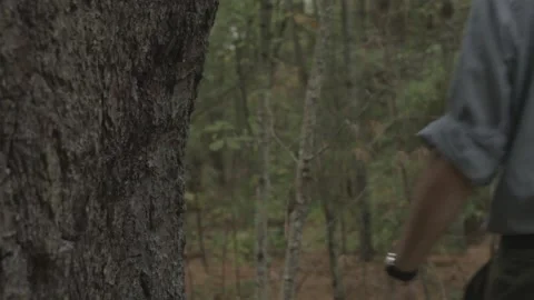 Man Walks by Tree Stock Footage 140807303