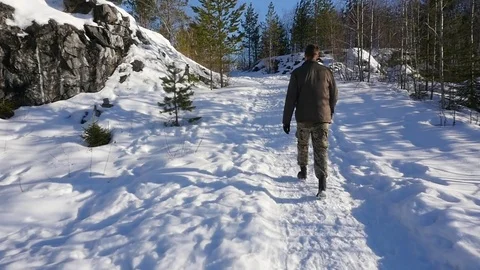 Man walks in the winter forest Stock Footage 72642338