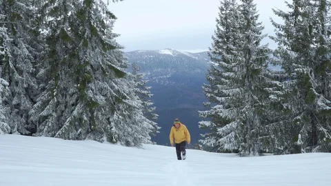 A man walks in the winter forest Stock Footage 128219010