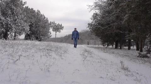 Man walks in the winter pine forest. Winter background. Stock Footage 72166315
