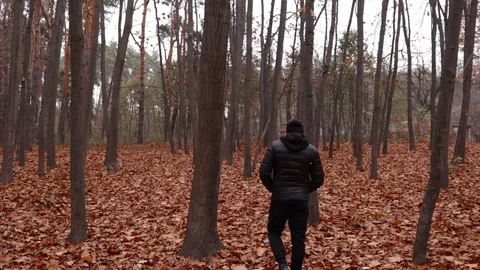 Man wallks on fallen leaves in the forest in autumn Stock Footage 120170235