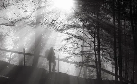 Man wandering into the forest Stock Photos