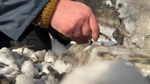 Man in warm clothes stacking brushwood to make a fire in the forest in winter Stockbeeldmateriaal 312878900