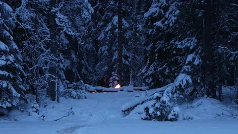A man warms himself up by a fire Stock Footage 147046148