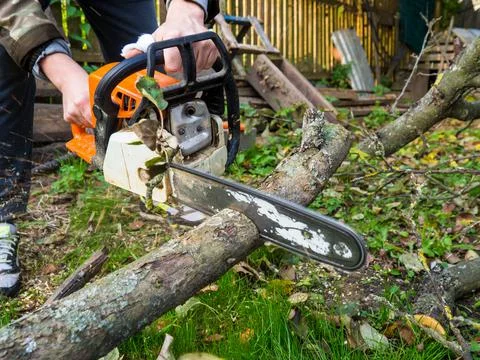 A man was drinking a tree with a chainsaw. removes plantings in the garden fr Stock Photos