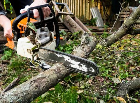 A man was drinking a tree with a chainsaw. removes plantings in the garden fr Stock Photos