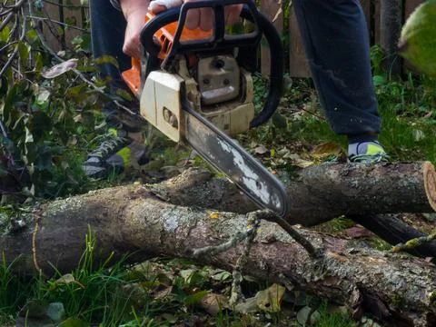 A man was drinking a tree with a chainsaw. removes plantings in the garden fr Stock Photos
