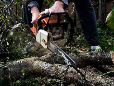A man was drinking a tree with a chainsaw. removes plantings in the garden fr Stock Photos