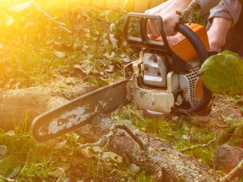 A man was drinking a tree with a chainsaw. removes plantings in the garden fr Stock Photos