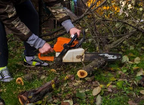 A man was drinking a tree with a chainsaw. removes plantings in the garden fr Stock Photos