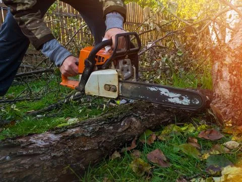 A man was drinking a tree with a chainsaw. removes plantings in the garden fr Stock-Fotos