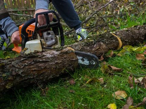 A man was drinking a tree with a chainsaw. removes plantings in the garden fr Stock Photos