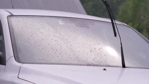 A man washes the car windows with a cloth before applying an anti-rain coating. 库存影片 336913792