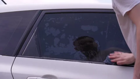 A man washes the car windows with a cloth before applying an anti-rain coating. 库存影片 336913983