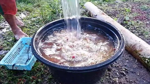 A man washes coffee beans. Video stock 123139671