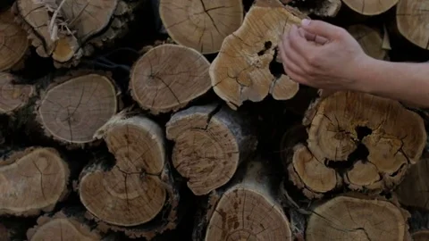 A man washes his hands on the background of cut logs Stock Footage 76278919