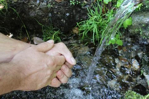 A man washes his hands at a spring in the forest. Blurred back natural Stock Photos