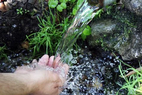 A man washes his hands at a spring in the forest. Blurred back natural Stock Photos