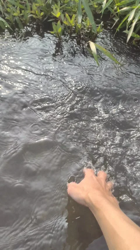 A Man Washes His Right Hand with Water from The Clear River Stock-Footage 314628176