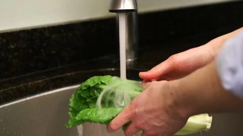 Man washes lettuce in sink Stock Footage 61395054