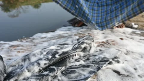 A man is washing clothes by hand on a stone at the riverbank. Video stock 333025580