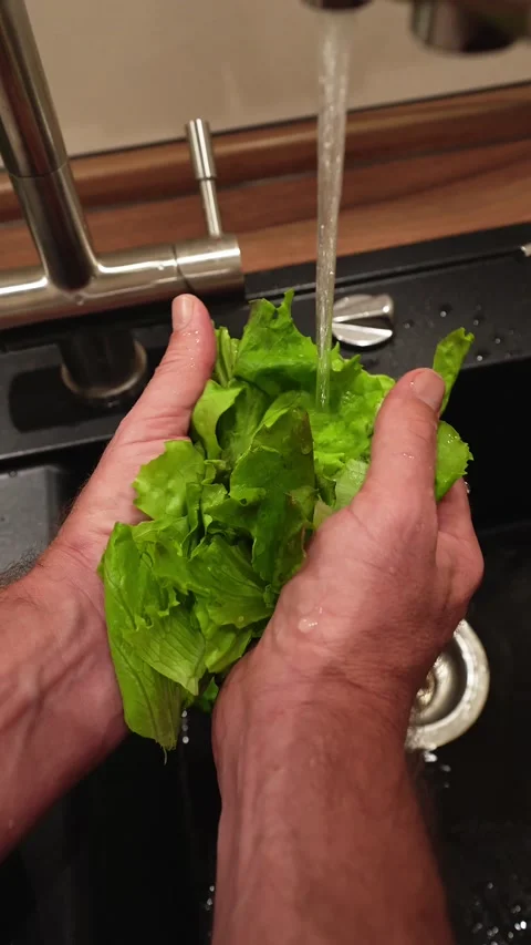 Man washing fresh lettuce under running water in a kitchen Stock Footage 201265609