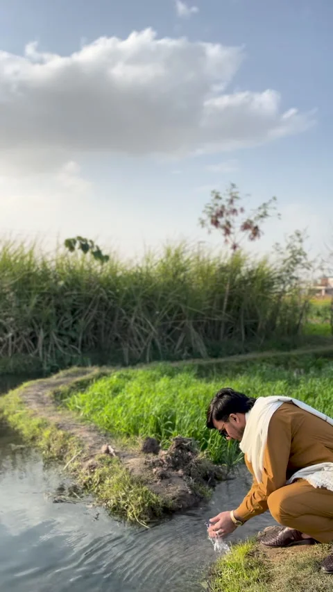 Man Washing Hands in a Rural Stream Stock Footage 333798018