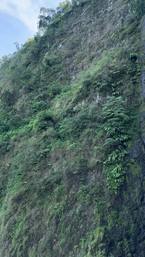 Man watches valley view, camera pans vertical to large waterfall on cliff Stock Footage 323910486