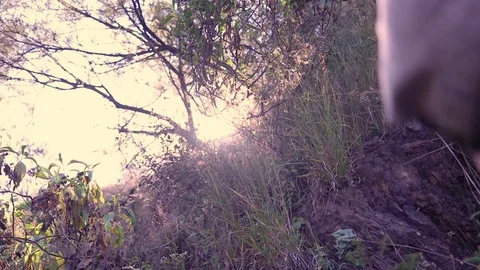 A man watchin the camera into plants 動画素材 98953657