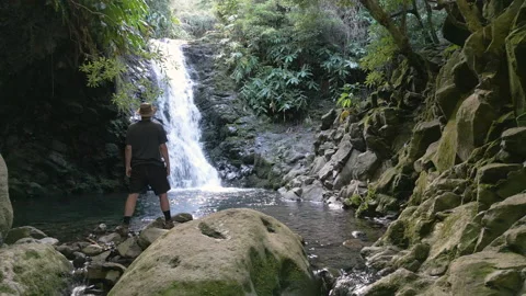 Man watching a natural waterfall in the rainforest of São Jorge, Azores Stock Footage 225501737
