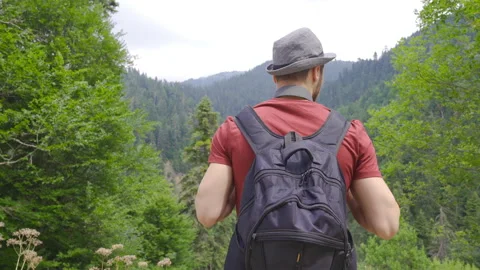 Man watching the valley in the forest. Stock Footage 212249716