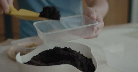 Man water peat inside a clear container Video stock 240385070