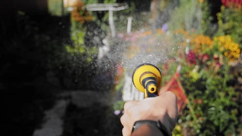Man watering flowers in the backyard Stock Footage 94174696