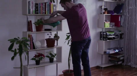 Man watering flowers Stock Footage 59581299