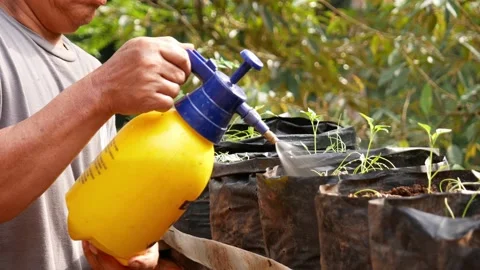 A man watering a plant using liquid fertilizer Stock Footage 231974665