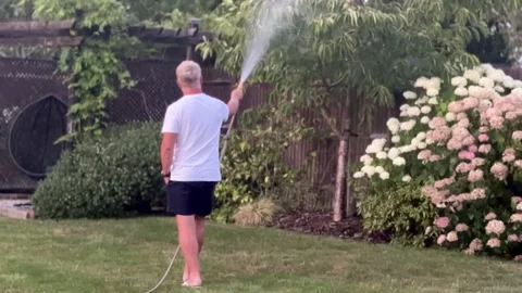 Man Watering Tree and Hydrangea Shrubs with Garden Hose in Backyard Stock Footage 340601336