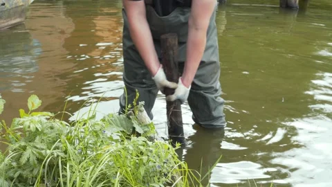 A man in a waterproof suit pulls an old wooden pile out of the water. Stock Footage 158893964