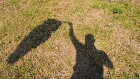Man waves a flag, casting a shadow on the grass during a sunny day Видео 284374491