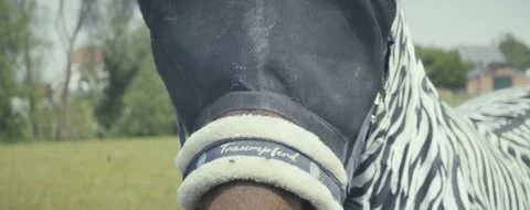 A man wearing a black and white striped shirt is wearing a black and white shoe Stock Footage 296096955