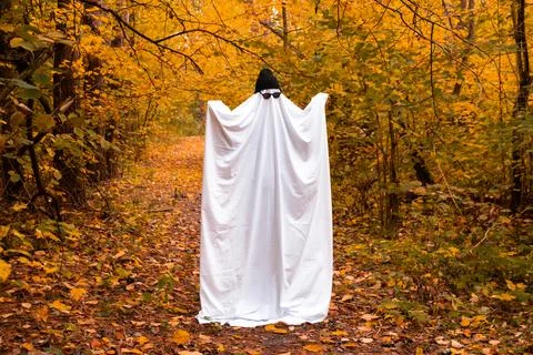 Man wearing ghost costume dancing between orange yellow leaves in autumn forest 写真素材