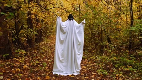 Man wearing ghost costume staying between orange yellow leaves in autumn forest Stock Footage 280941614